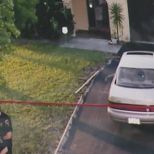 Crime-Scene-thegem-gallery-metro