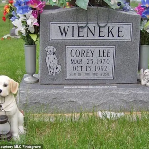 Gravesite-of-Corey-Wieneke-thegem-portfolio-metro